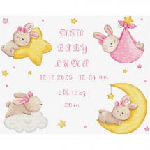 Kit broderie point de croix - Letistitch - Naissance fille