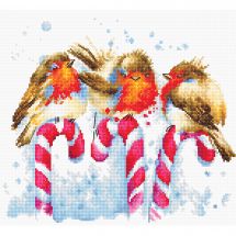 Kit point de croix - Luca-S - Oiseaux de Noël