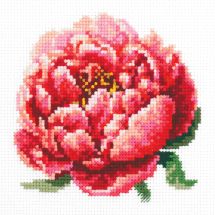 Kit broderie point de croix - Magic Needle - Pivoine rouge