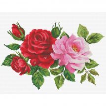 Kit broderie point de croix - Ladybird - Bouquet de roses
