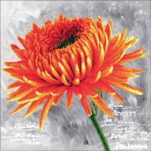 Kit broderie point de croix - Needleart World - Dahlia orange