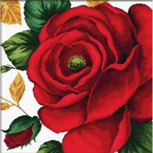 Kit broderie point de croix - Ladybird - Rose rouge