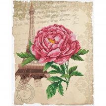 Kit broderie point de croix - Ladybird - Rose romantique