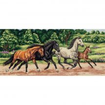 Kit broderie point de croix - Panna - Chevaux sauvages