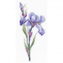 Kit broderie point de croix - RTO - Iris