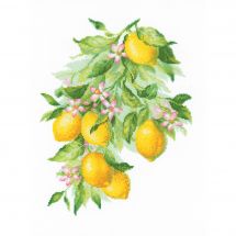 Kit point de croix - Riolis - Citrons lumineux