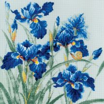 Kit broderie point de croix - Riolis - Iris bleus