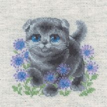 Kit broderie point de croix - Riolis - Scottish Fold