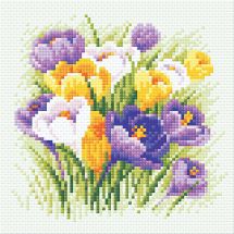 Kit de broderie Diamant - Riolis - Crocus