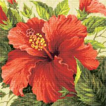 Kit de broderie Diamant - Riolis - Hibiscus