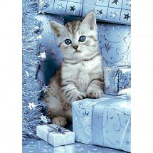 Kit de broderie Diamant - Wizardi - Chaton et cadeaux de Noël
