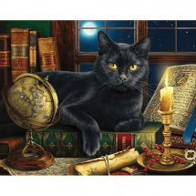 Kit de broderie Diamant - Wizardi - Chat sage