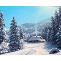 Kit de broderie Diamant - Wizardi - Jour d'hiver