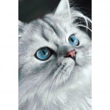 Kit de broderie Diamant - Wizardi - Yeux de chat