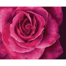 Kit de peinture par numéro - Wizardi - Belle rose